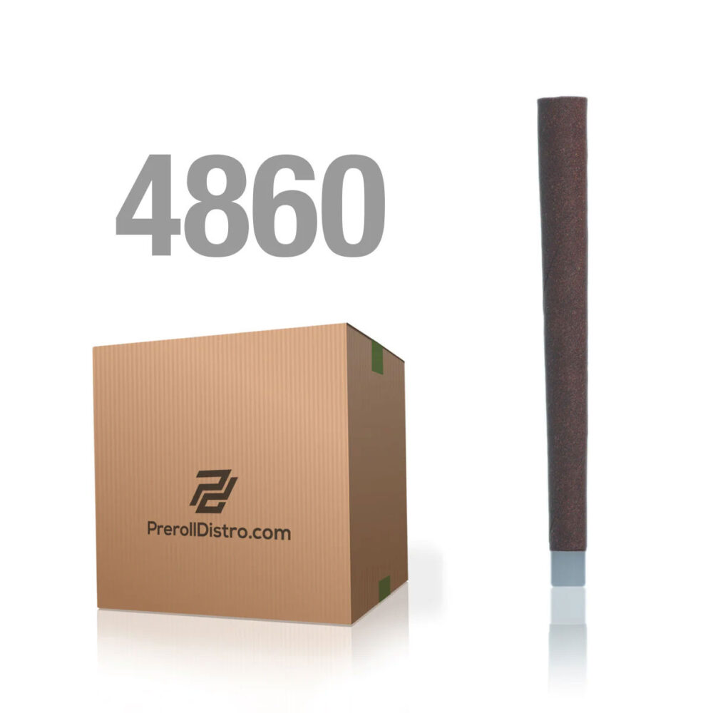 Master Case - 1g Hemp Blunt with Glass Filter Tip - 4,860ct