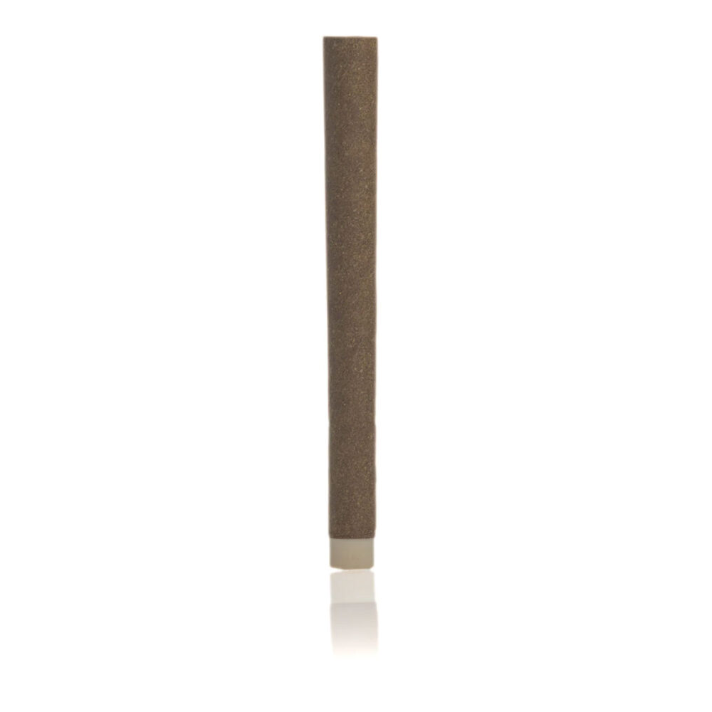 Bulk Box 100ct - 2g Hemp Blunt with Bamboo & Corn Filter Tip
