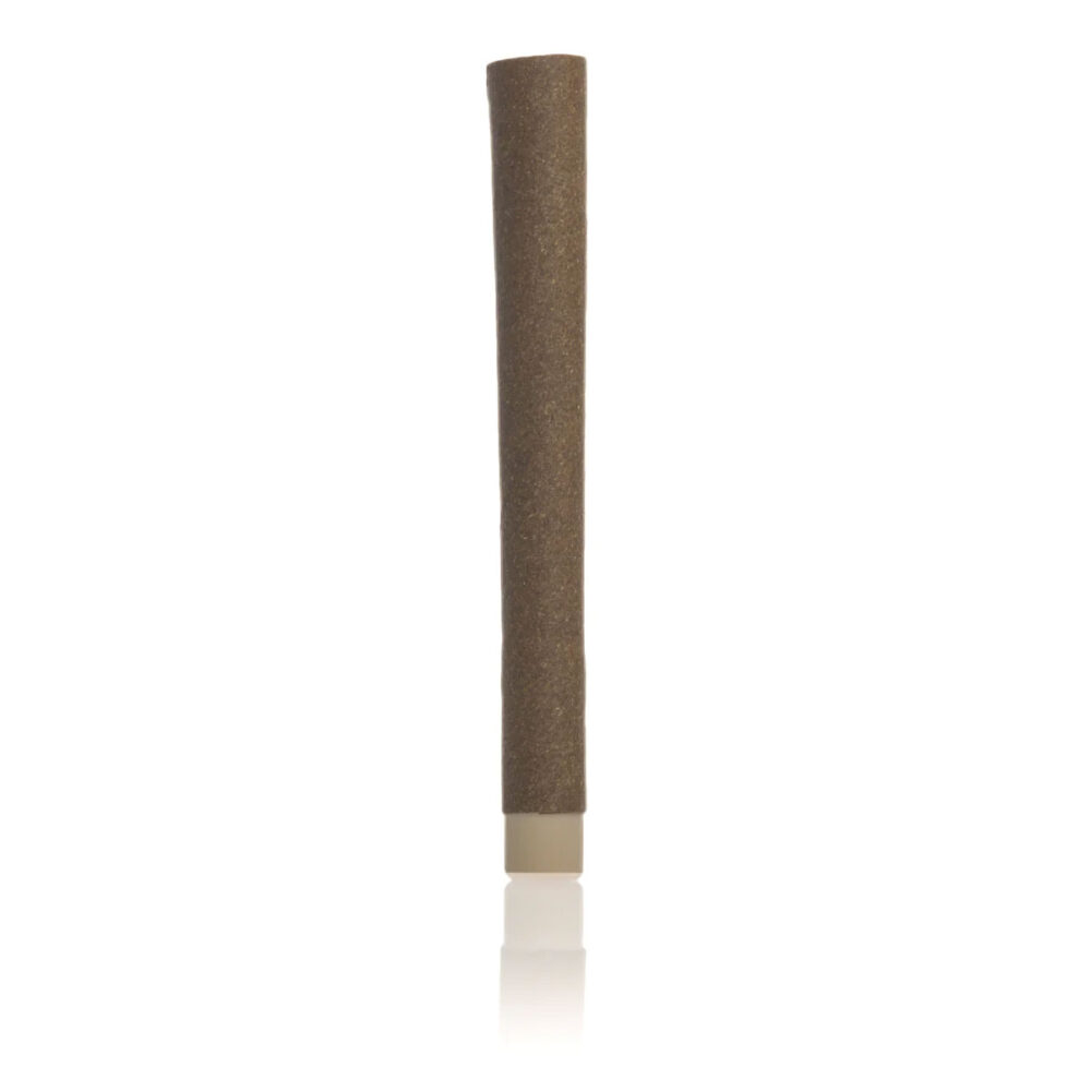 2g Hemp Blunt with Bamboo & Corn Husk Filter - Long - 11mmx103mm