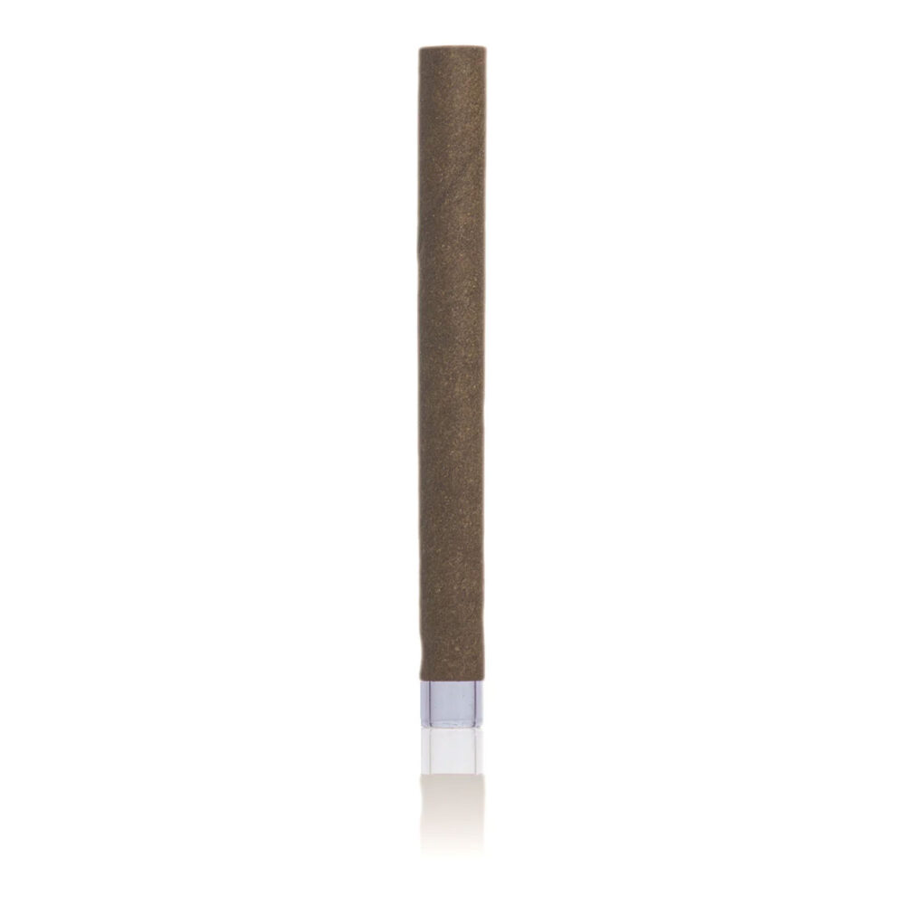 Bulk Box - 1.5g Hemp Blunt with Glass Filter Tip - Tube - Long - 10mmx105mm - 140ct