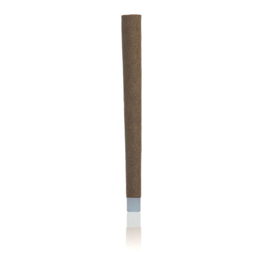 Bulk Box - 1g Hemp Blunt with Glass Filter Tip - Conical - 135ct