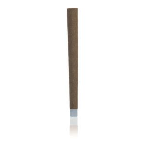 Bulk Box - 1g Hemp Blunt with Glass Filter Tip - Conical - 135ct