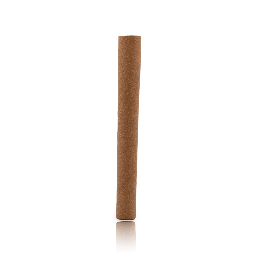 Hemp Blunt Fully Flush Conical with Glass Tube and Paper Crutch - 10mm x 100mm
